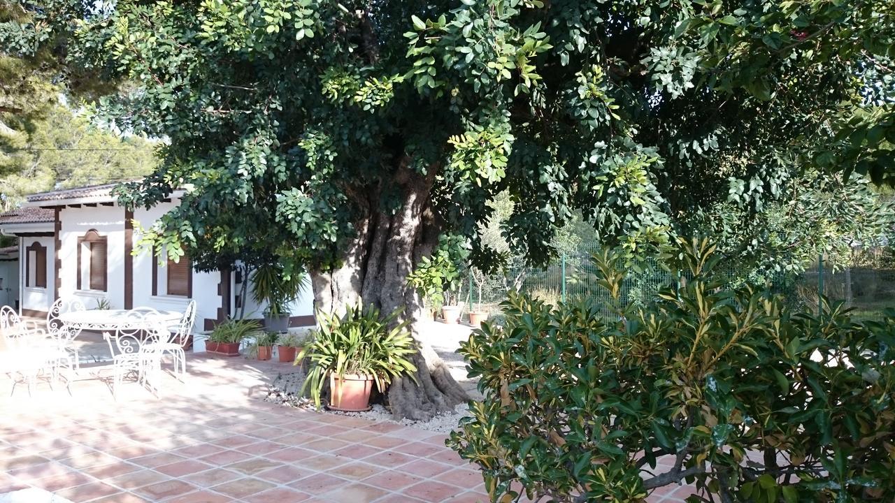 Villa Chabola เดเนีย ภายนอก รูปภาพ